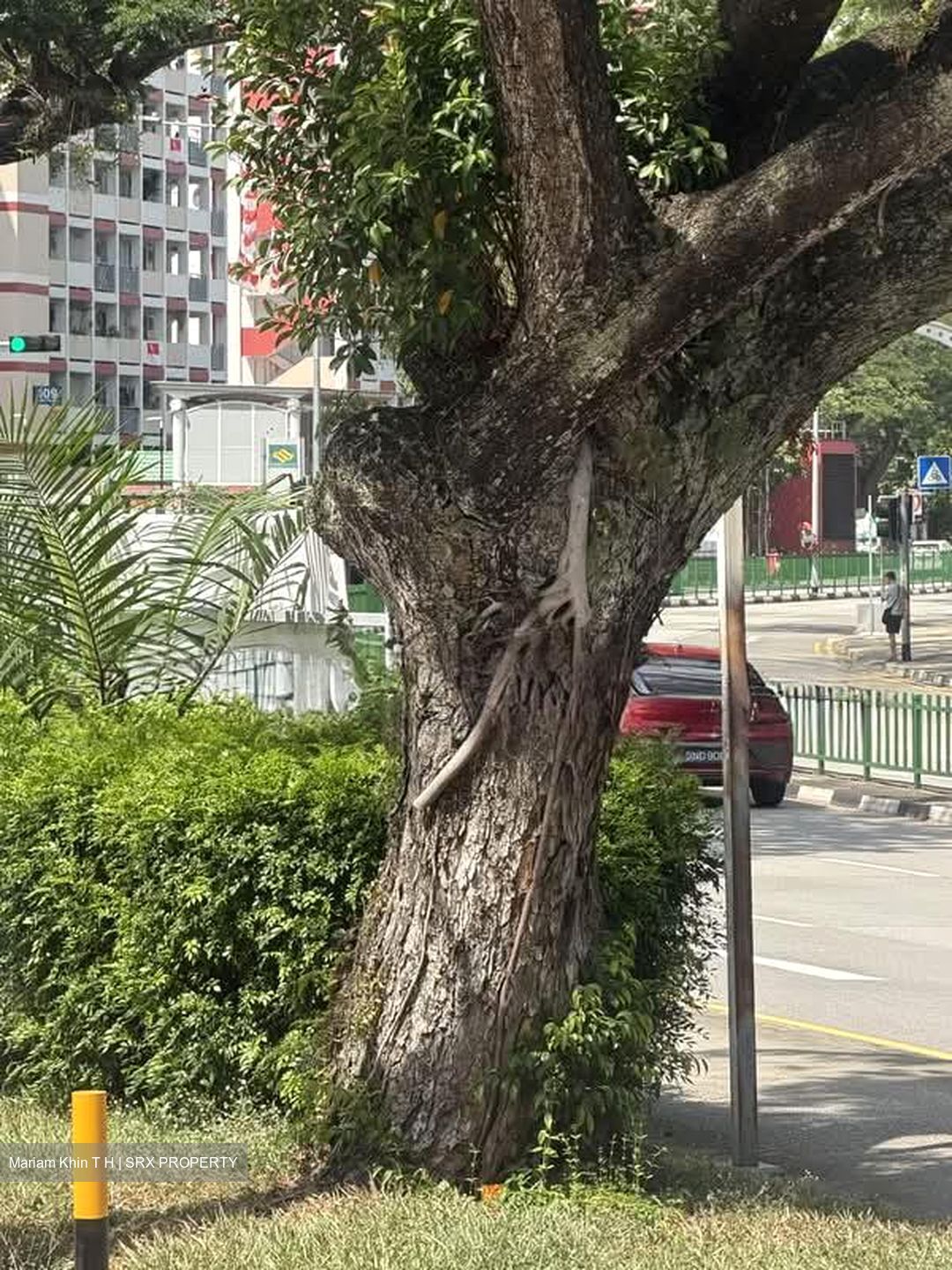 Blk 115 Toa Payoh North (Toa Payoh), HDB 3 Rooms #598178301